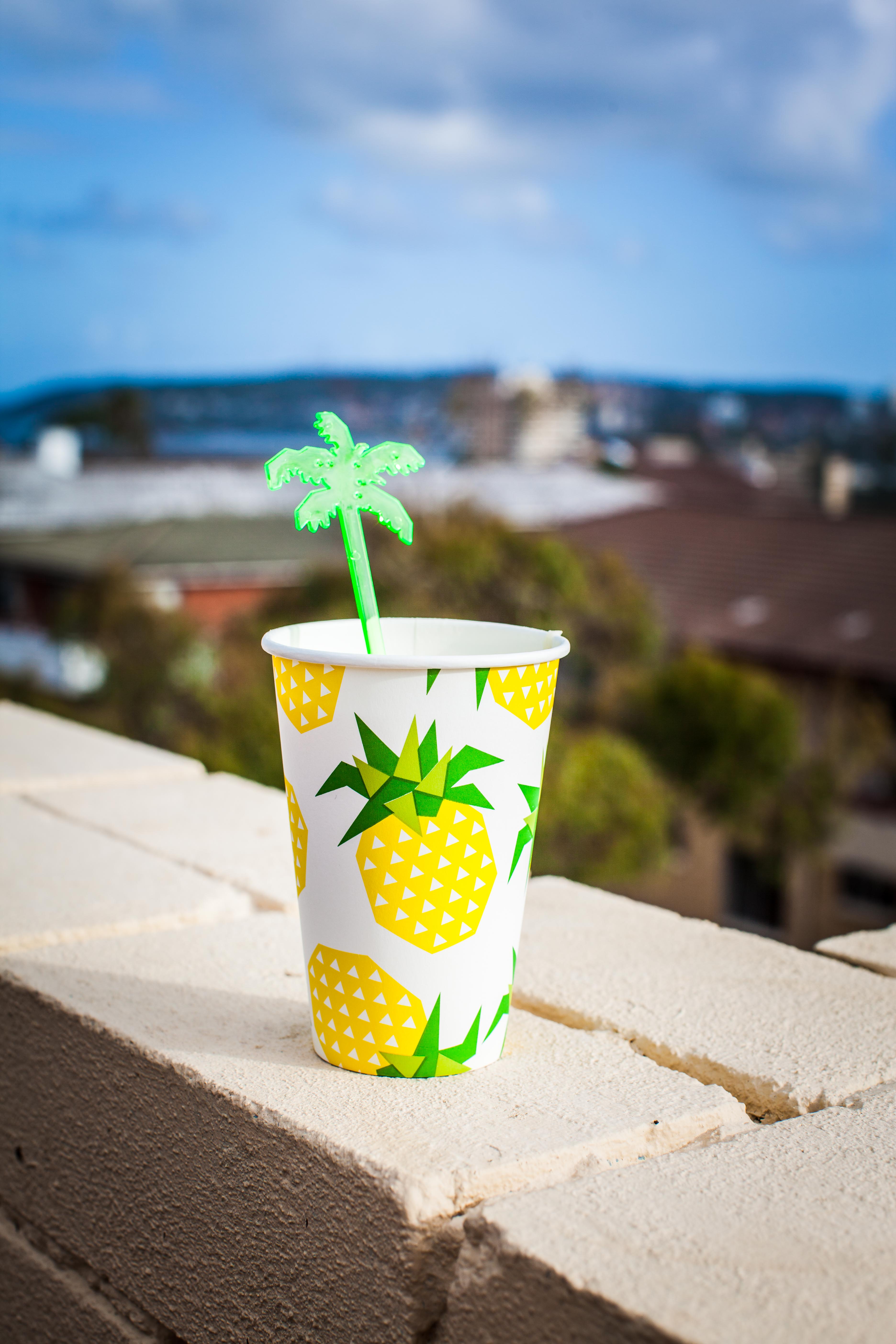 BronwenHens_Snappystreet-17